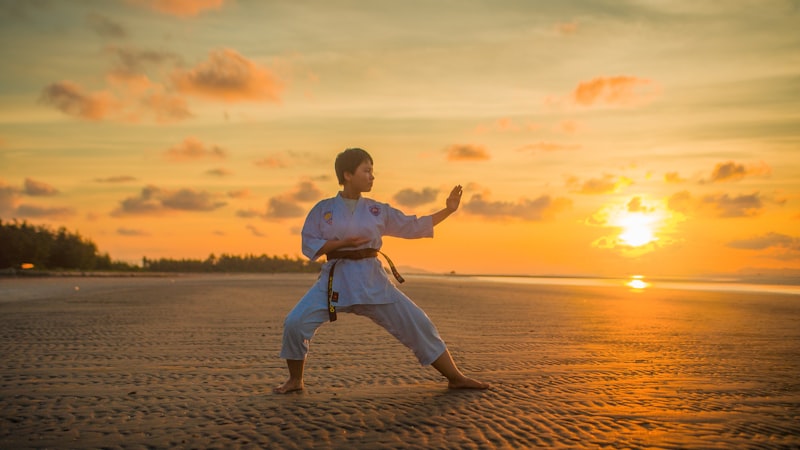 Kurs instruktora Krav Maga online